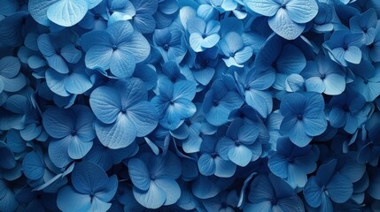  a close up view of a bunch of blue hydrangea flowers with green leaves on the top of the petals and the bottom of the petals of the petals. - obrazy, fototapety, plakaty