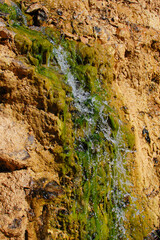 green moss on the rocks