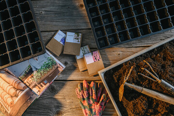 spring planting seeds in the ground, tools, containers and garden work