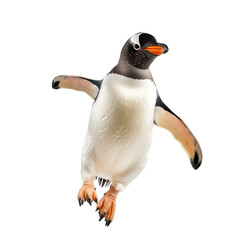 Adorable jumpping Penguin on white or transparent background