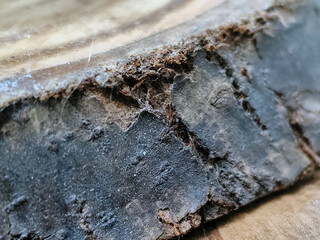 piece of wood