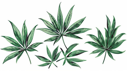 Frame of cannabis leaves against an isolated background