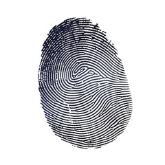 Fingerprint on white or transparent background