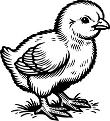 Naklejka premium Cute baby chicken black outline vector illustration. Coloring book for kids.