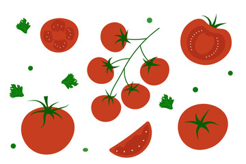 Set of tomatoes isolated. Vegetables of different shapes, cut, on a branch
