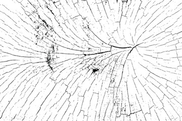 Vector tree rings trace background in black white and saw cut tree trunk. Grunge nature background design elements.