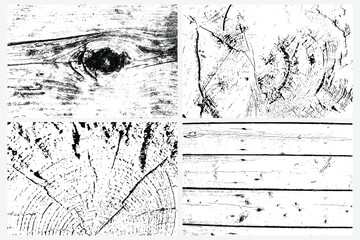 Set of vector tree rings and surfaces trace background in black white and saw cut tree trunk. Grunge nature background design elements set.