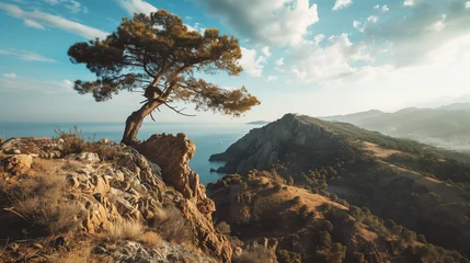 Selbstklebende Fototapeten tree in the mountains © Erzsbet