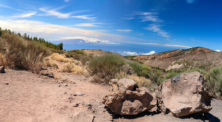Scenic mountain landscape.Cactus,vegetation and sunset panorama in Tenerife.Canary island.Tenerife.Spain