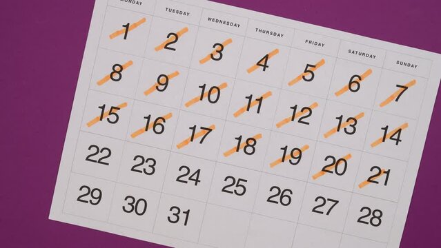 Monthly calendar with checked days. Time manegement concept. 4K Stop motion animation.