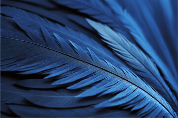 blue feathers in detail
