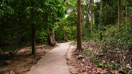 Empty curved concrete walkway winds through a green nature park with waterfall, trees and plants in the forest, Namtok Chet Sao Noi ์National Park view in Saraburi Province, Thailand. Travel concept.