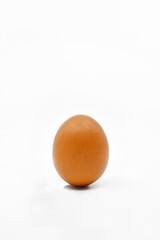 Single brown egg isolated on a plain white background. Copy space.