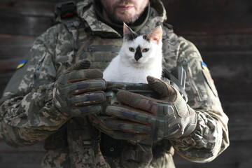 Ukrainian soldier rescuing animal. Little stray cat sitting in helmet, closeup