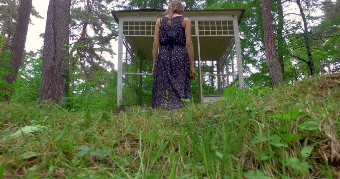A beautiful girl walks barefoot in the forest and enters a cabin