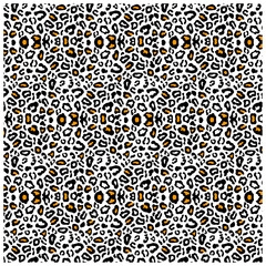 Leopard Pattern and Leopard Print Design