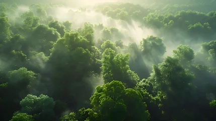 Fotobehang misty awakening: the serene beauty of green canopies at dawn © ArtisticALLY