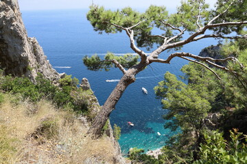 Capri island in a beautiful summer day
