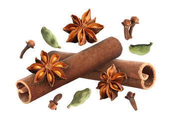 Cinnamon sticks and other aromatic spices falling on white background