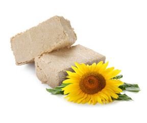 Tasty halva and sunflower isolated on white