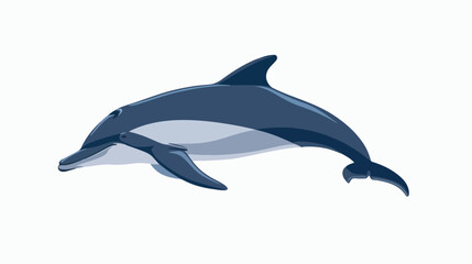 dolphin Vector