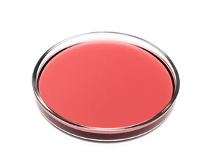 Petri dish with red liquid isolated on white. Laboratory glassware