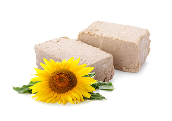 Tasty halva and sunflower isolated on white