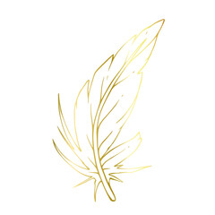 Golden outline of a bird feather. Vector graphics.