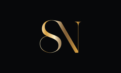 SN, NS, S, N, Abstract Letters Logo monogram