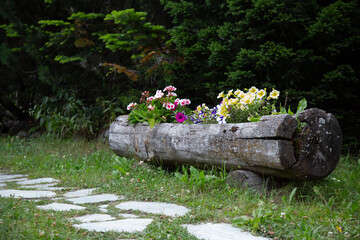 Alpine flowerpot lanscape