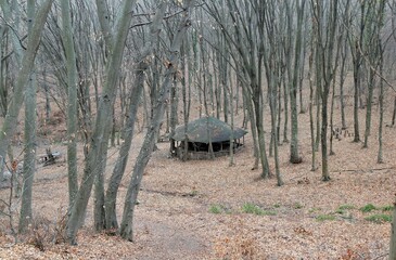 Wooden gazebo in the spring forest 