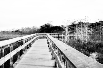 Boardwalk to the Pa-Hay-Okee Lookout Tower in the Everglades National Park