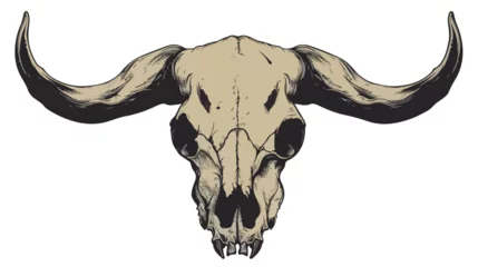 Foto op Plexiglas Animal skull with horns cow bull head isolated illus © iclute