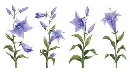 Bellflower floral set cartoon isolated illustrations