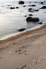 footprints on the beach