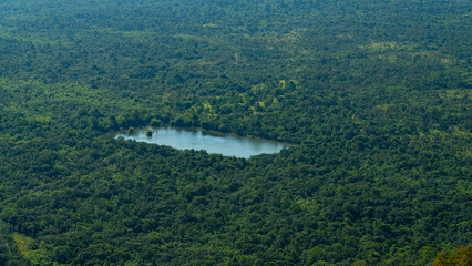 Overhead view and wide. A large lake in forest with spacious area and abundant.