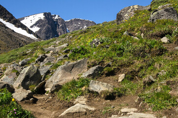 rocky mountain landscape