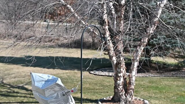 Balloon Outdoors on a Hook