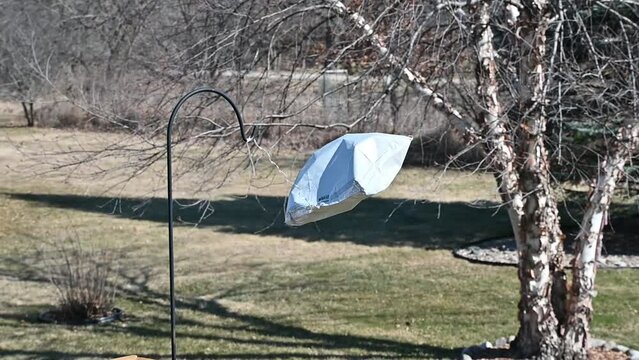 Foil Balloon Outside
