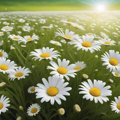 Daisy flowers in a beautifully flowering field. AI image.