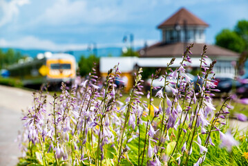 La Malbaie, Canada - July 21 2021: Charlevoix train arriving at station in a sunny day in La Malbaie