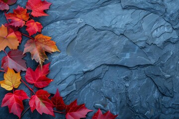 Vivid autumn background featuring a colorful arrangement of red leaves against a textured blue slate. seasonal design with a fresh perspective