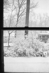 looking through the window at the garden covered with snow after the snow storm late winter in black and white