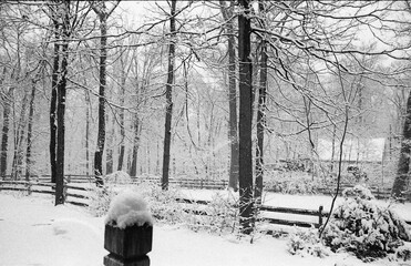 garden covered with snow after the snow storm late winter in black and white