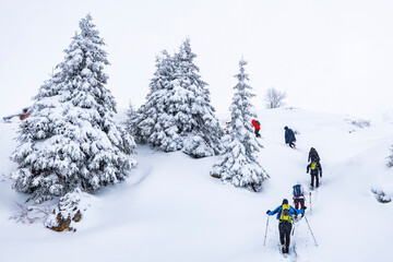Winter trekking scene in the Italian alps of Valsassina - obrazy, fototapety, plakaty