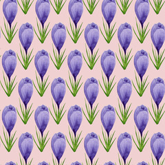 Watercolor spring crocuses seamless pattern, spring flower digital paper on pink background. Hand painted floral illustration. For textile design, packaging, wrapping paper, wallpaper, scrapbooking.