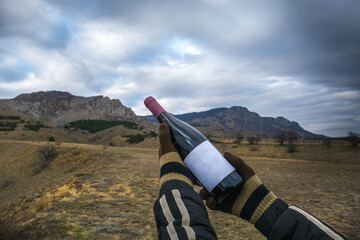 Bottle of wine in nature - 750193116