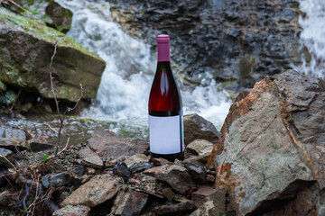 Bottle of wine in nature - 750193129