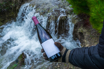 Bottle of wine in nature - 750193142