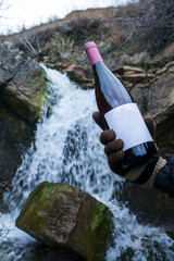 Bottle of wine in nature - 750193154